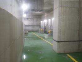 2014-1-31 Mutriku DBH4